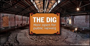 Medalta Dig