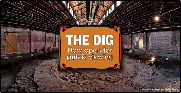 Medalta Dig