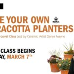 Make Your Own Terracotta Planters with Danya Mayne